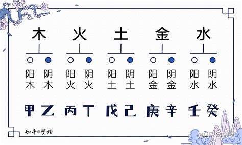 甲木和乙木|「四柱八字」十天干的五行属性和阴阳属性